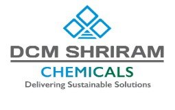 DCM SHRIRAM LTD